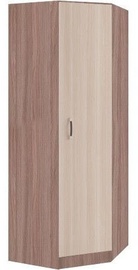 DSV Ronda ŠKUR782.1 Wardrobe Light/Dark Ash Shimo