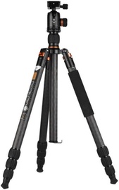 Genesis Base C5 Kit Orange