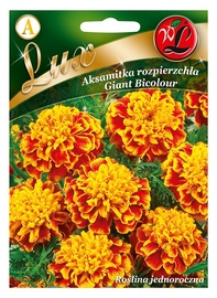SĒKLAS LUX SAMTENES GIANT BICOLOUR