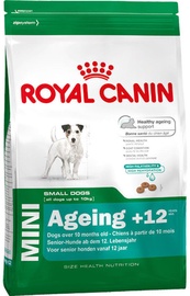 Royal Canin SHN Mini Ageing +12 3.5kg