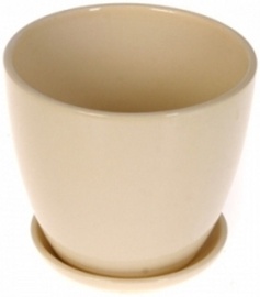 Polnix 02.447.15 Beige