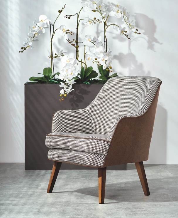 Кресло Telavivi, белый/ореховый, 75 см x 80 см x 87 см