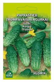 Īsaugļu gurķi Huzar H