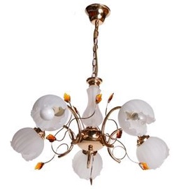 Zhongshan 149881 Ceiling Lamp 5x40W E14 Gold