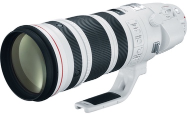 Canon EF 200-400mm f/4L IS USM Extender 1.4x