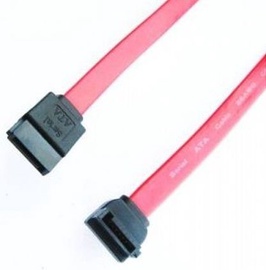 Gembird CABLE SATA 0.5m