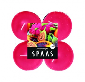 Ароматическая свеча Spaas Tropical Delight, 10 h