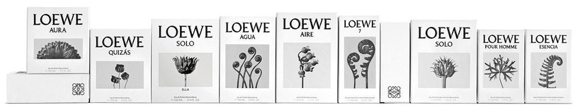 Raseerimisjärgne palsam Loewe Esencia, 100 ml