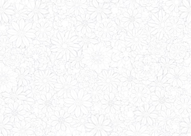 PANELIS DAISY 0.25X2.65M (2.65)