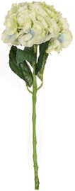 Home4you Hortensia In Gerden H54cm 83817 Light Green