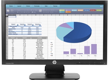 Monitorius HP ProDisplay P202