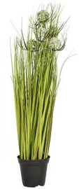 Home4you Bouquet Herbarium 5pcs In Garden H100cm White 83841