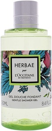 Dušas želeja L'Occitane Herbae, 250 ml