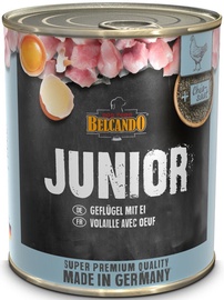 Belcando Junior Wet Dog Food With Poultry & Egg 800g