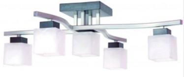 LAMKUR Dana LM-5.34/WEN