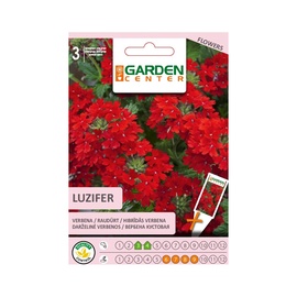 HIBRĪDĀS VERBENAS LUZIFER (GARDEN CENTER)