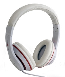 Ausinės Gembird Los Angeles MHS-LAX White