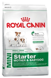 Royal Canin SHN Mini Starter 8.5kg