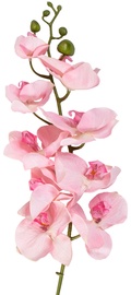 Home4you Decorative Branch Orchid H107cm Rose