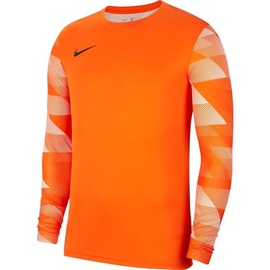 Marškinėliai ilgomis rankovėmis, vaikams Nike Dry Park IV Jersey, oranžinė, L