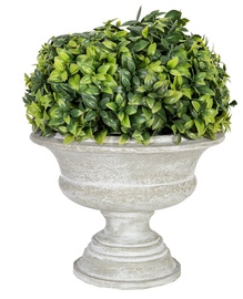 Home4you Artificial Green Bush In Buxus Pot H22cm