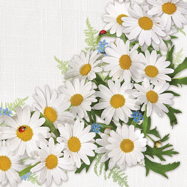 Popierinės servetėlės Daisy, 330 mm x 330 mm, įvairių spalvų, 20 vnt.