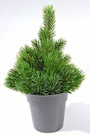 KUNSTKUUSK POTIS 25CM