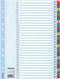 Esselte Document Divider Book 1-31 Colored