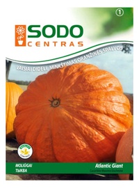 Ķirbju sēklas Sodo Centras Atlantic Giant