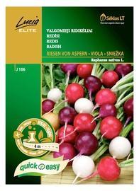 Redīsu sēklas Von Aspern Viola Sniežka