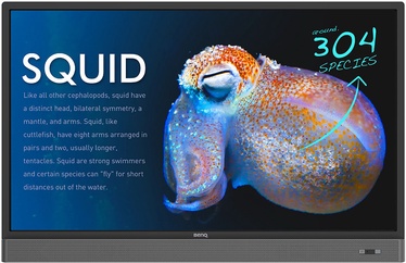 Monitorius BenQ RP553K
