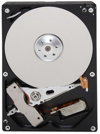 Kietasis diskas (HDD) Toshiba DT01ACA100, 3.5", 1 TB