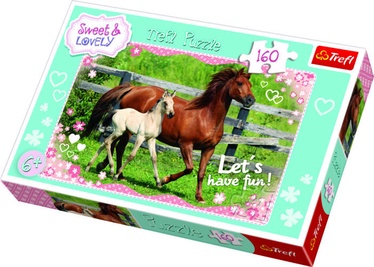 Trefl Puzzle Sweet & Lovely Horses 160pcs 15331T