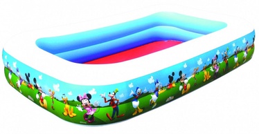 Bestway Family Pool 91008