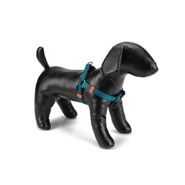 Petnešos šunims Beeztees, 35-60 cm ilgio