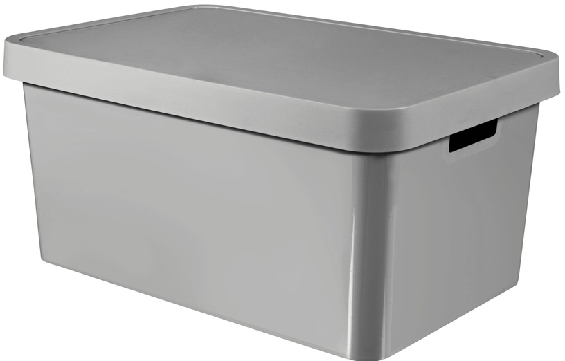 Kaanega hoiukarp Curver Infinity 233941, 45 l, hall, 27 x 56 x 39 cm