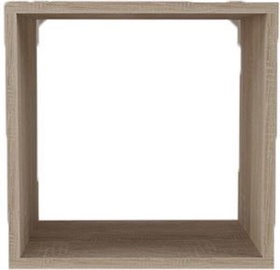 MN Shelf 82702077