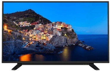 Televizors Toshiba 24WL1A63DG, D-LED, 24 "