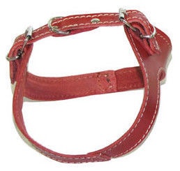 Record Muzzle Size 1 Brown