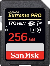 SanDisk Extreme Pro 256GB Class 10 UHS-I