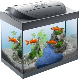 Akvaarium Tetra Starter Line LED Goldfish, must, 30 l