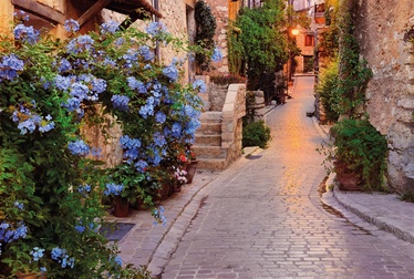 Tapetes Komar Photo Wallpapper XXL4-057 248x368cm
