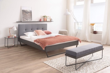 Lova Meise Möbel Boston 2, pilka, 213x186 cm