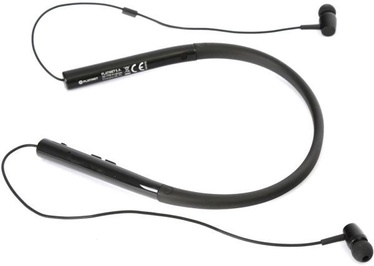 Ausinės Platinet PM1073B