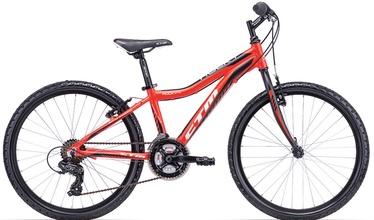 CTM Rocky 1.0 Red/Black