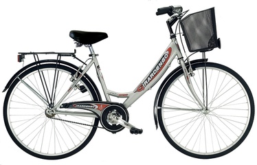 Dviratis Girardengo GHL26000 26" Grey 18