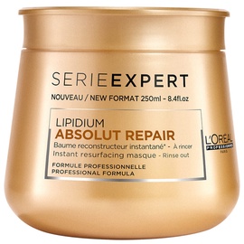 L`Oréal Professionnel Serie Expert Absolut Repair Lipidium Mask 250ml