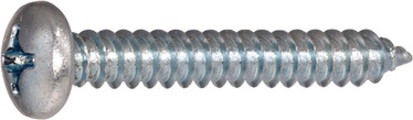 Isekeermestavad kruvid Haushalt DIN7981C Self Screws Zn 5.5x16mm 30pcs