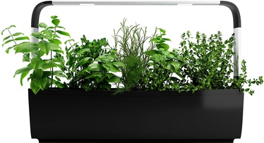 Tregren T-Series T12 Kitchen Garde Black