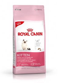 Barība kaķēniem Royal Canin, 36, 2kg